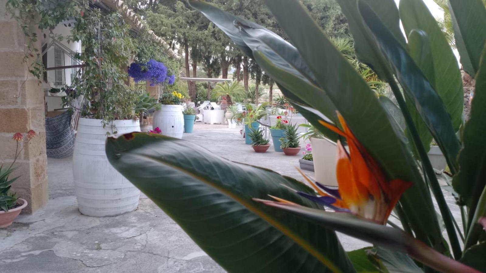 Villa A Lumia Noto Exterior foto